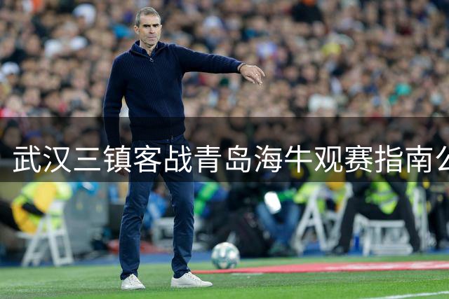 武汉三镇客战青岛海牛观赛指南公布